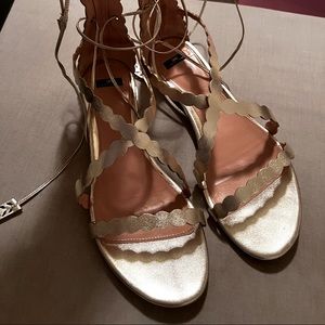 Elisabetta Franchi gladiator Sandals